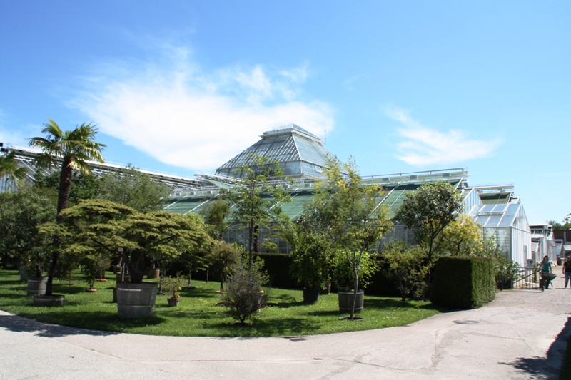 Botanischer Garten - Gewächshäuser